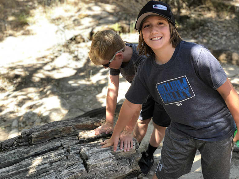 Family Activities in Napa: Petrified Forest Calistoga